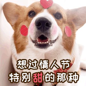 语也不及黄金这样一件礼物瓦力棋牌说真再多的甜言蜜(图2)